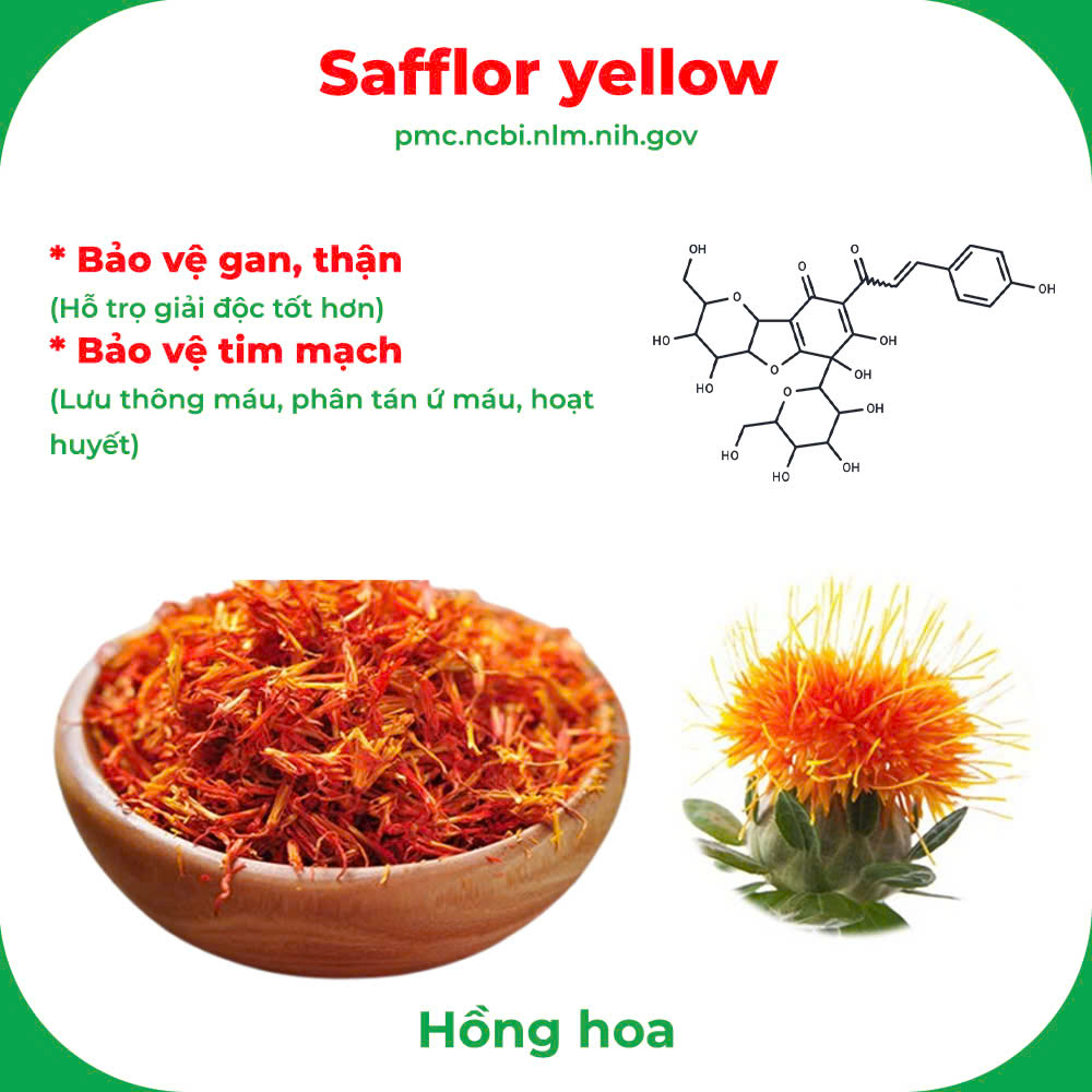 Thành phần hoá học