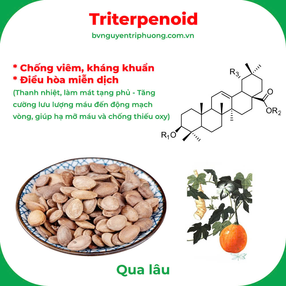 Thành phần hoá học