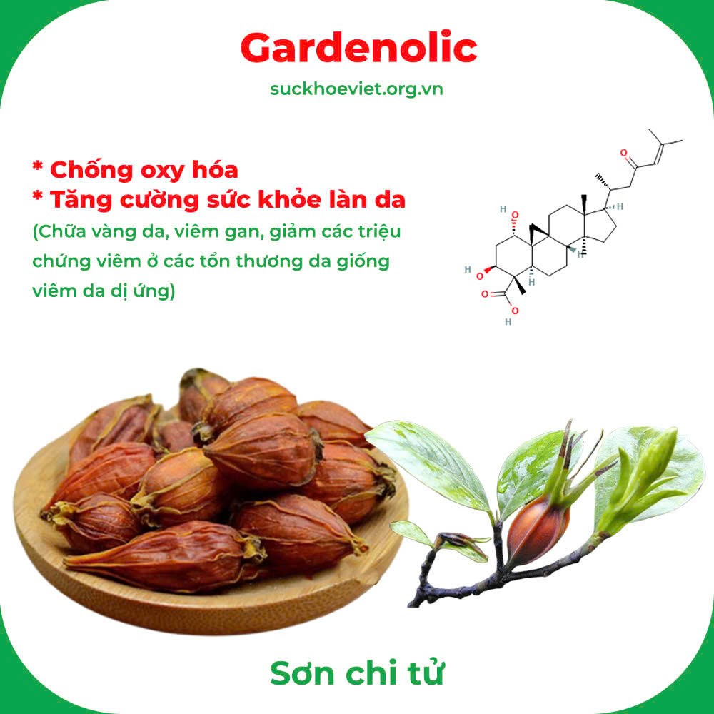 Thành phần hoá học
