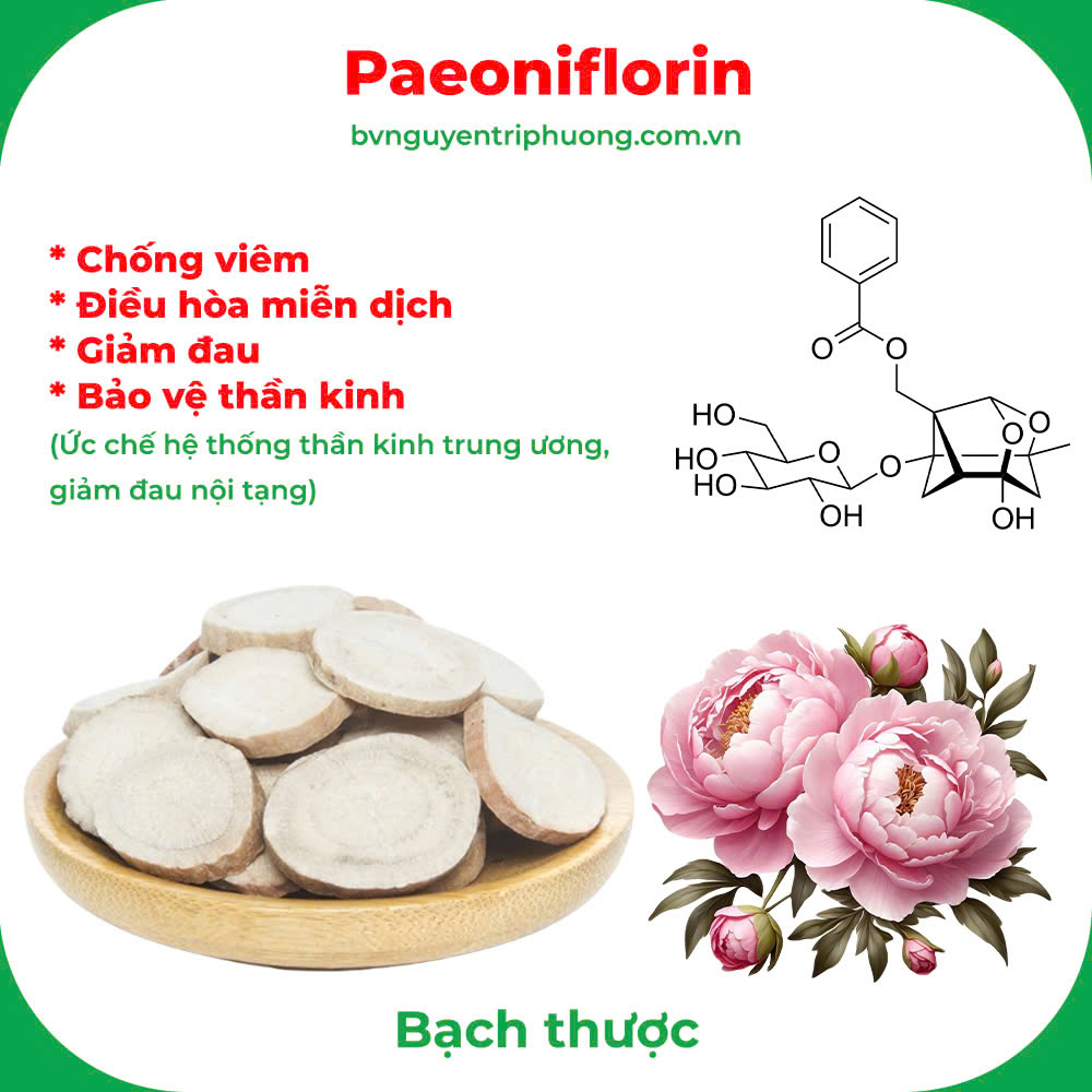 Thành phần hoá học