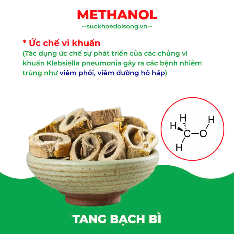 Thành phần hoá học