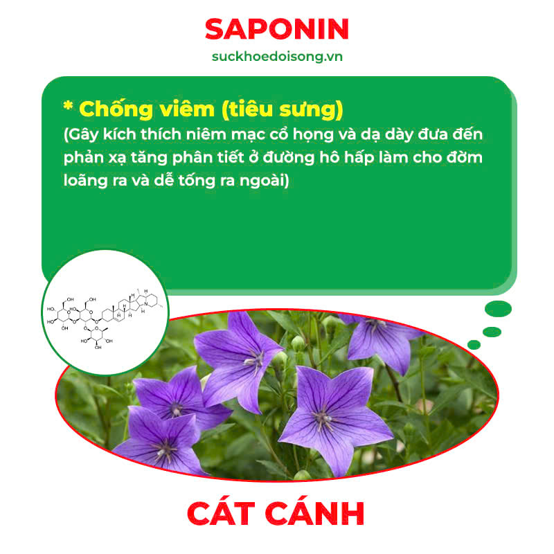 Thành phần hoá học