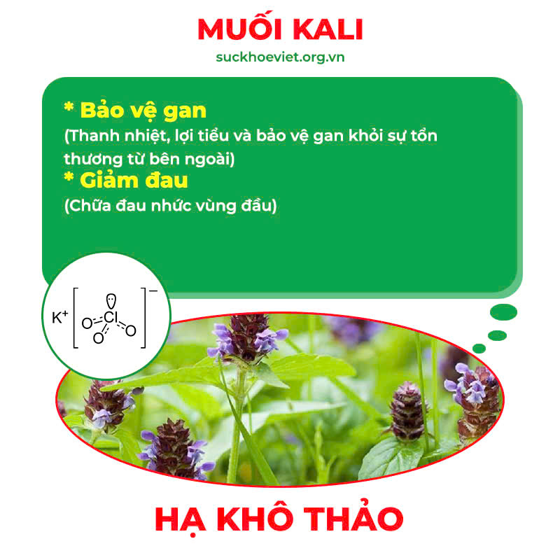 Thành phần hoá học