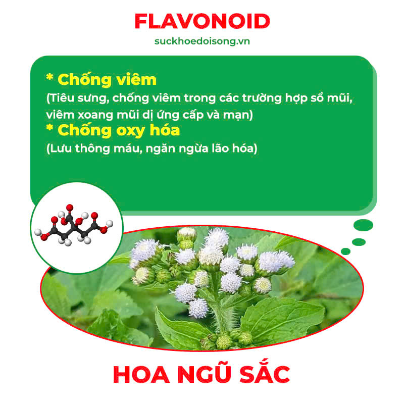Thành phần hoá học