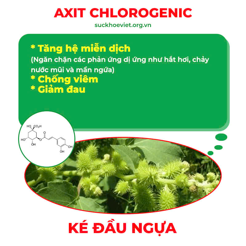 Thành phần hoá học