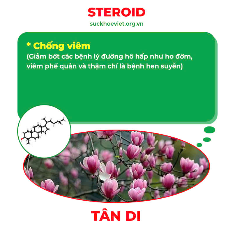 Thành phần hoá học