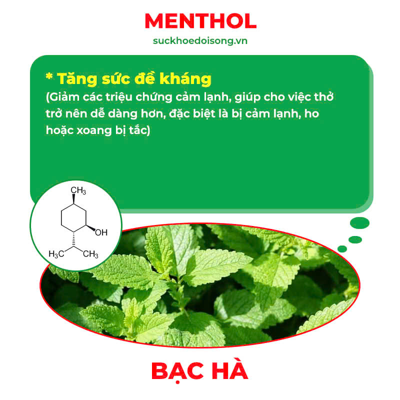 Thành phần hoá học