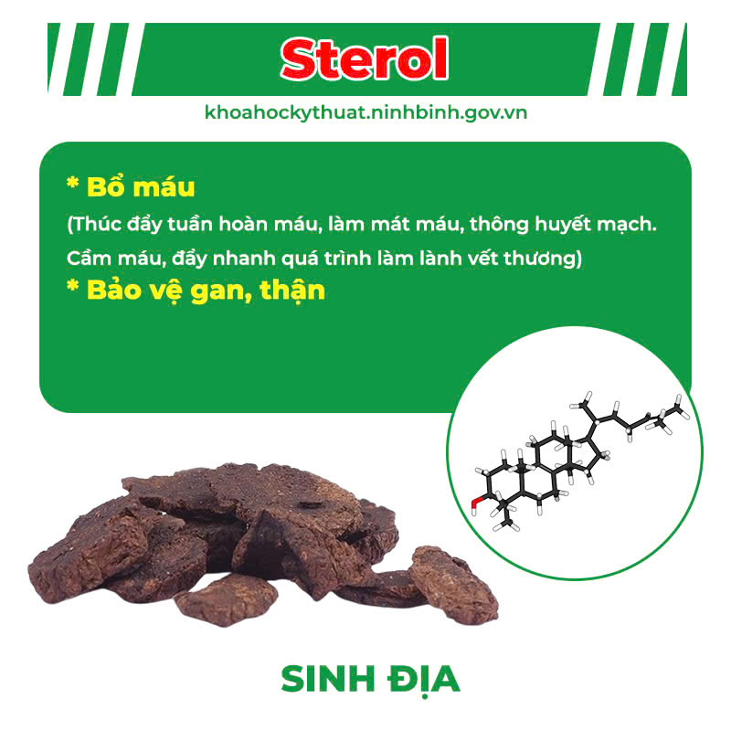 Thành Phần Hoá Học Mát Gan siro 