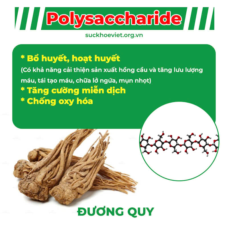 Thành Phần Hoá Học Mát Gan siro 
