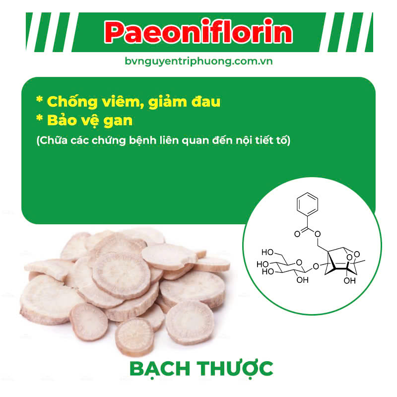 Thành Phần Hoá Học Mát Gan siro 