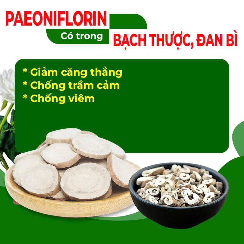 Thành Phần Hoá Học Thư Can Dưỡng Huyết 2