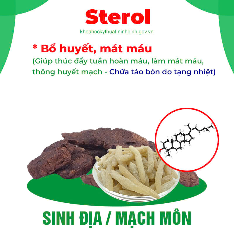 Thành phần hoá học Nhuận tràng siro