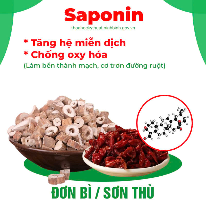 Thành phần hoá học Nhuận tràng siro