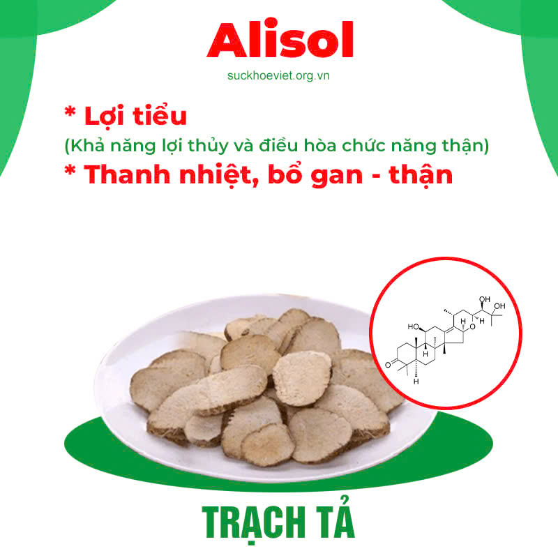 Thành phần hoá học Nhuận tràng siro