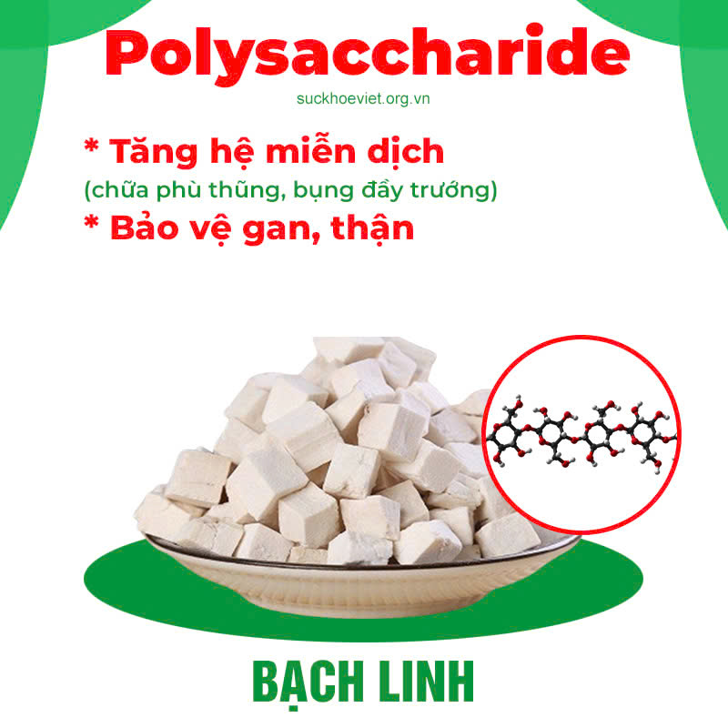 Thành phần hoá học Nhuận tràng siro