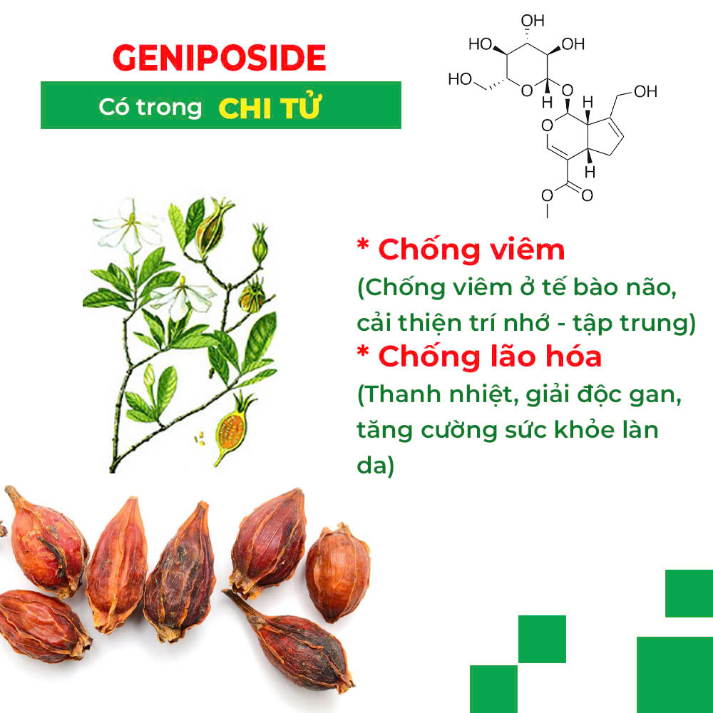 Thành phần hóa học thư cân