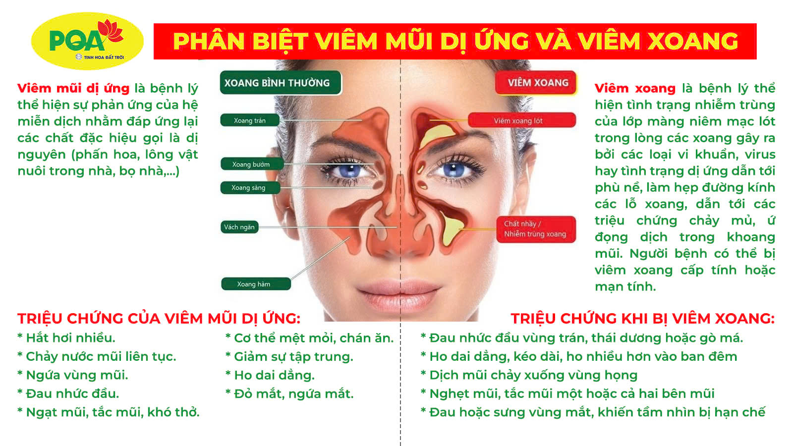 Viêm mũi dị ứng