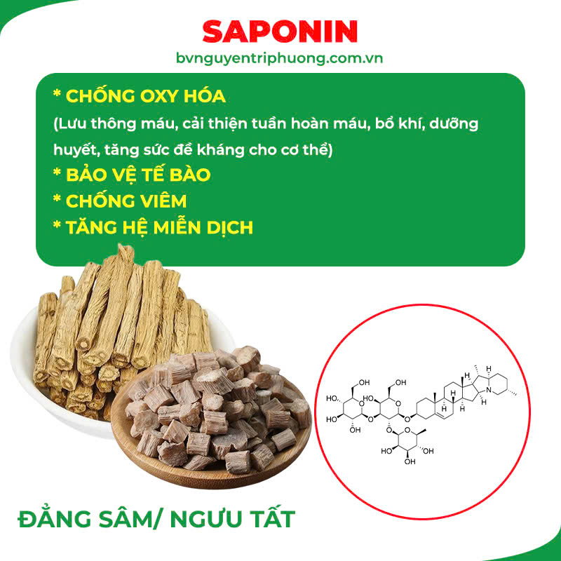 Thành phần hoá học Ngọc Tố Nữ