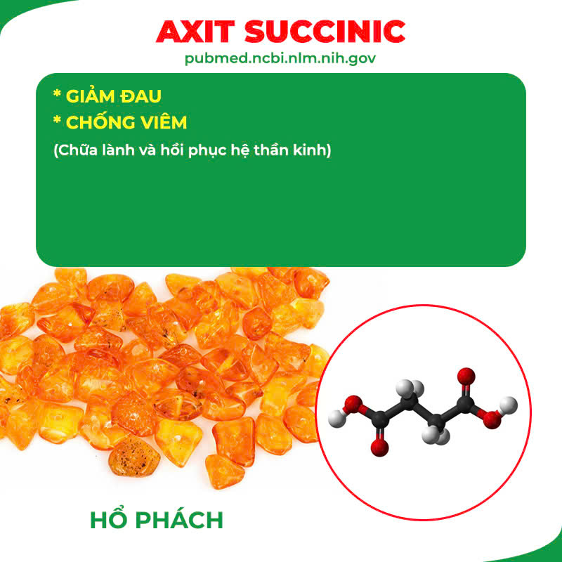 Thành phần hoá học Ngọc Tố Nữ