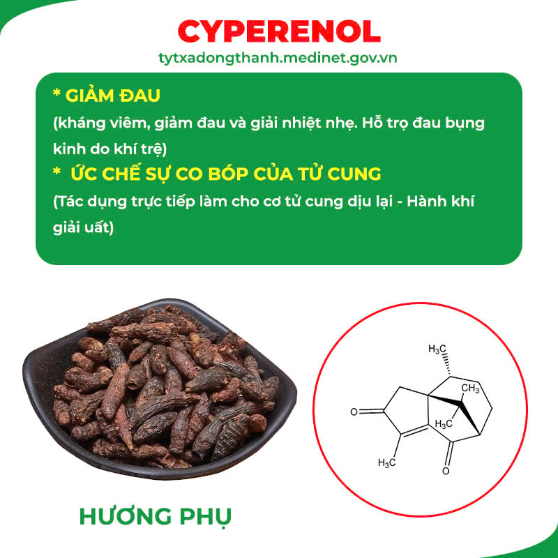 Thành phần hoá học Ngọc Tố Nữ