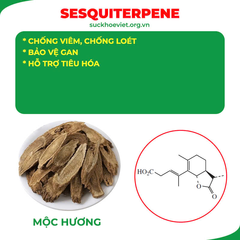 Thành phần hoá học Ngọc Tố Nữ