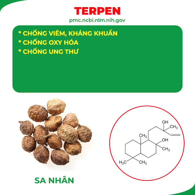 Thành phần hoá học Ngọc Tố Nữ