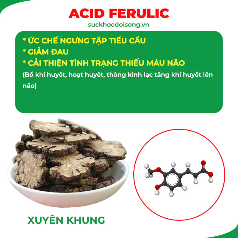 Thành phần hoá học Ngọc Tố Nữ