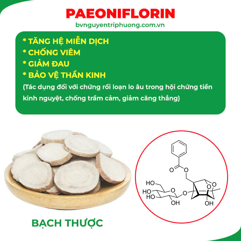 Thành phần hoá học Ngọc Tố Nữ