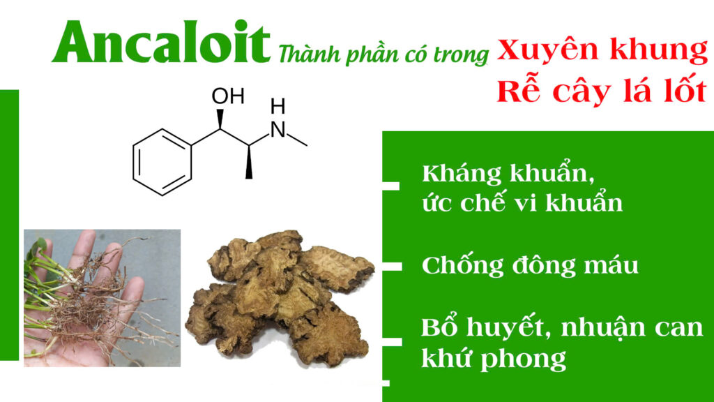 Dược phẩm PQA