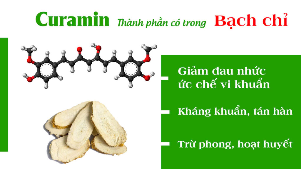 Dược phẩm PQA