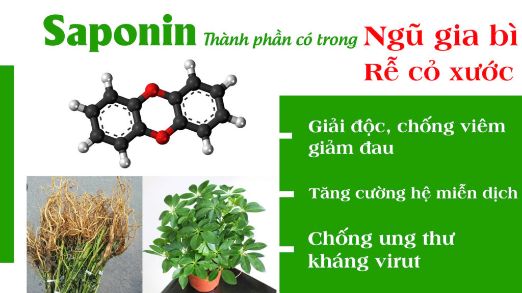 Dược phẩm PQA