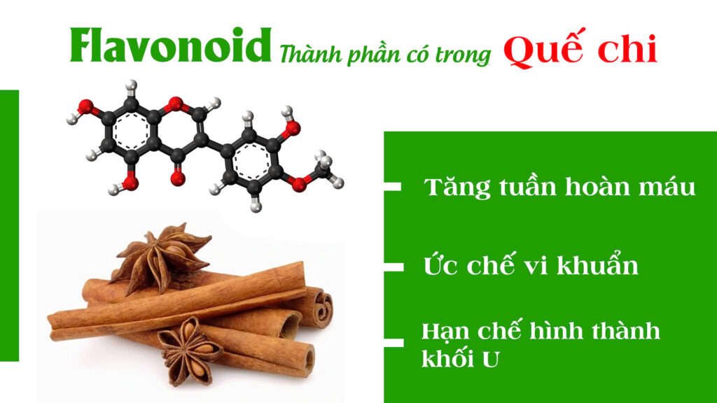 Dược phẩm PQA