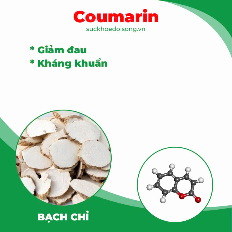Dược phẩm PQA