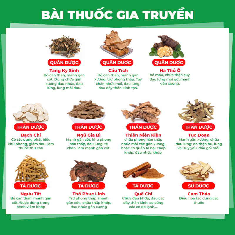 Thành phần hoá học Thiên niên kiện