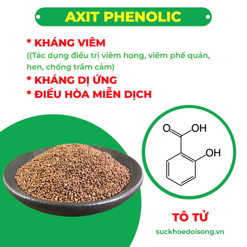 Thành phần hoá học Cốm Hen Suyễn