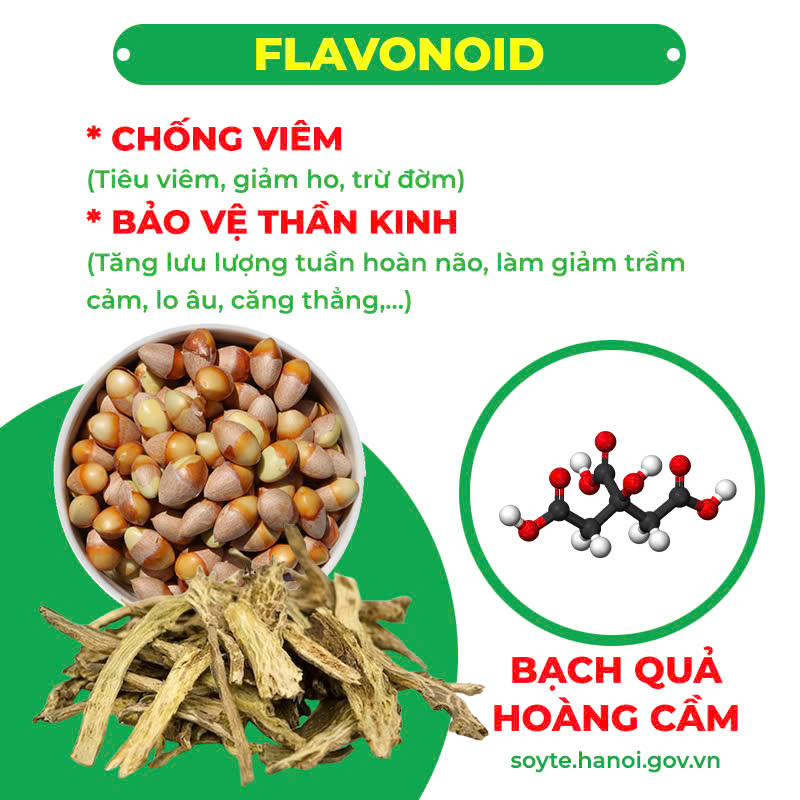 Thành phần hoá học Cốm Hen Suyễn