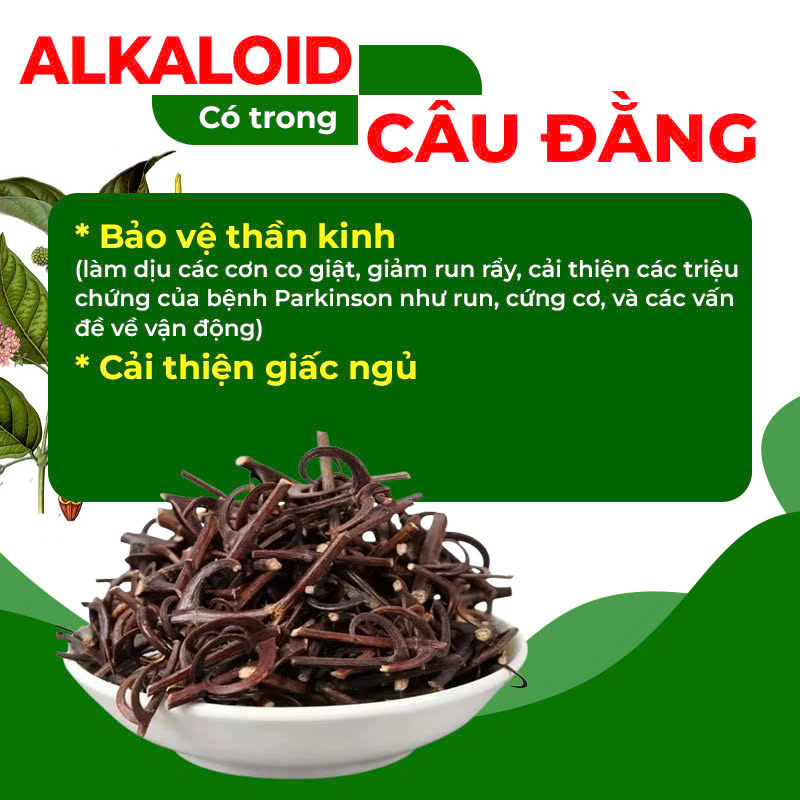 Thành Phần Hoá Học Thư Can Dưỡng Huyết