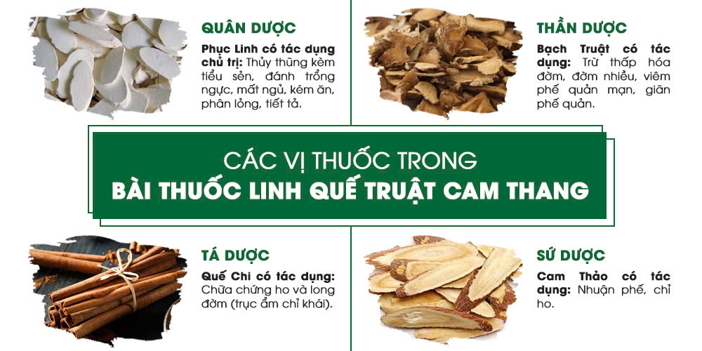 Bài thuốc Phế quản viên nang