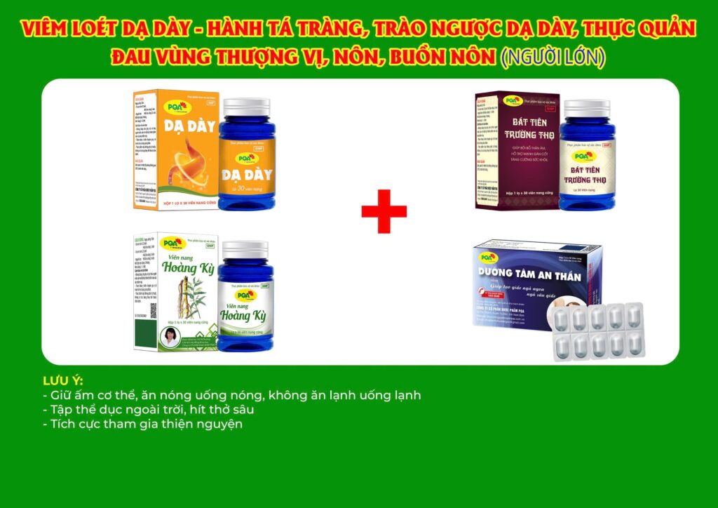 Kết hợp 4 sản phẩm Dạ Dày 