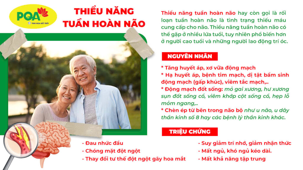 Nguyên nhân và triệu chứng hoạt huyết dưỡng não