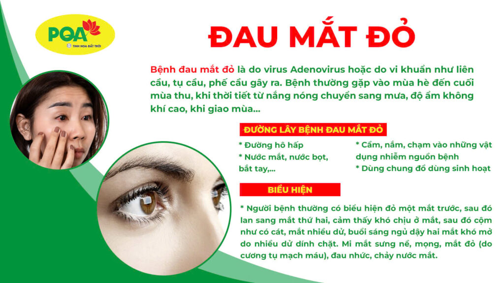 Dược phẩm PQA