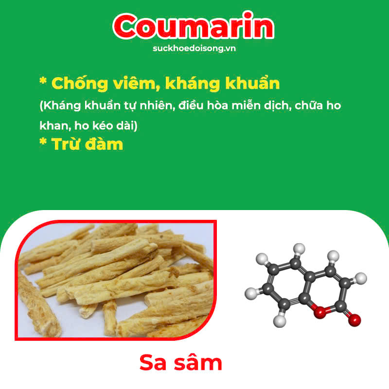 Thành phần hoá học Amidan