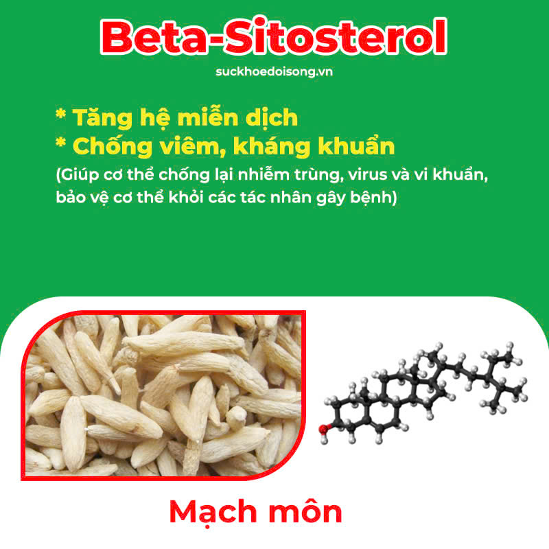 Thành phần hoá học Amidan