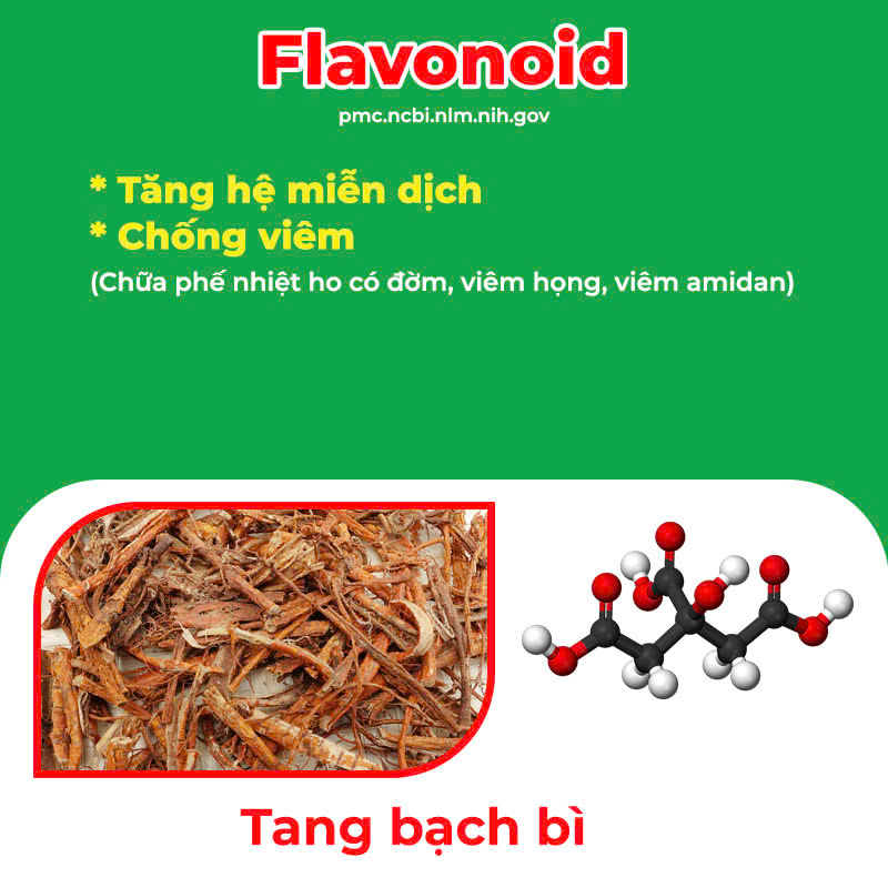 Thành phần hoá học Amidan