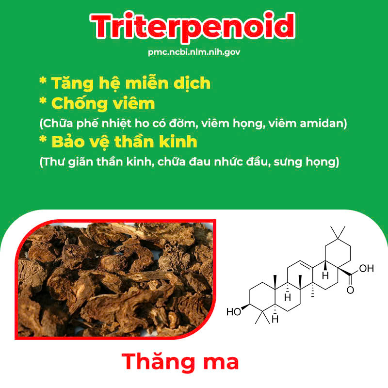 Thành phần hoá học Amidan