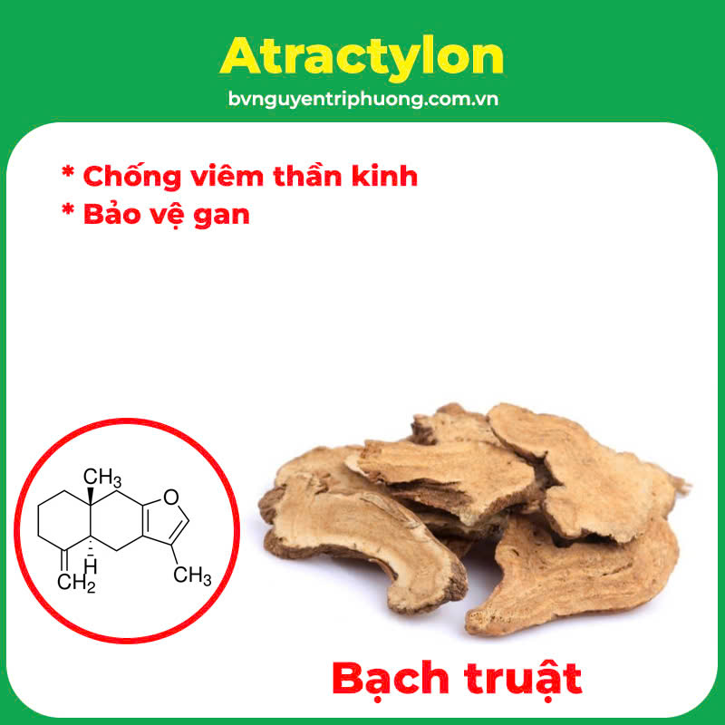 Thành phần hoá học An thần bổ tâm