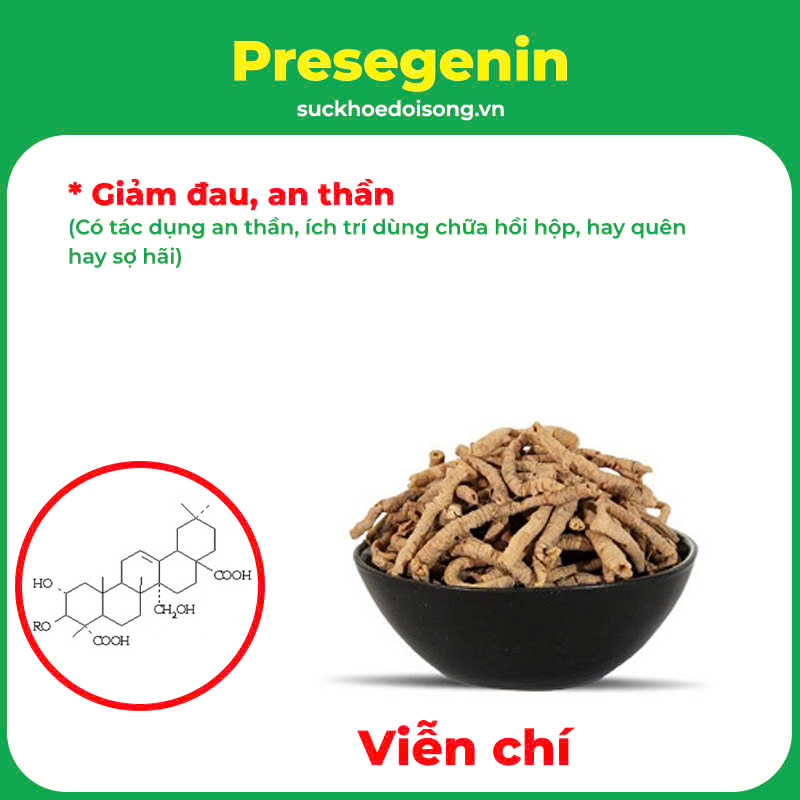 Thành phần hoá học An thần bổ tâm