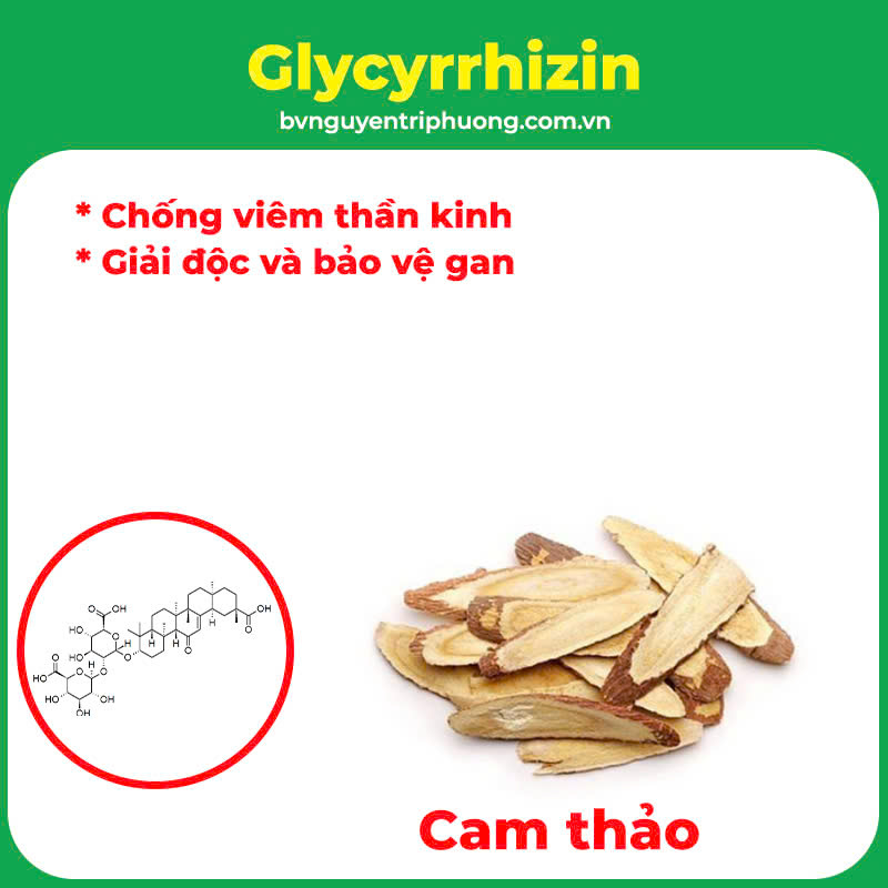 Thành phần hoá học An thần bổ tâm