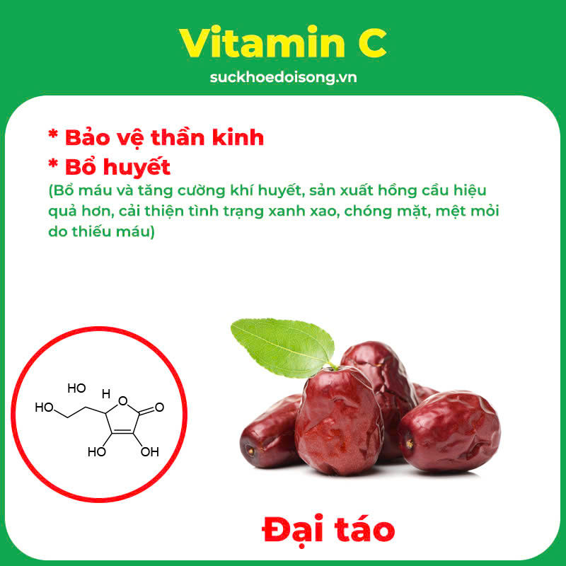 Thành phần hoá học An thần bổ tâm