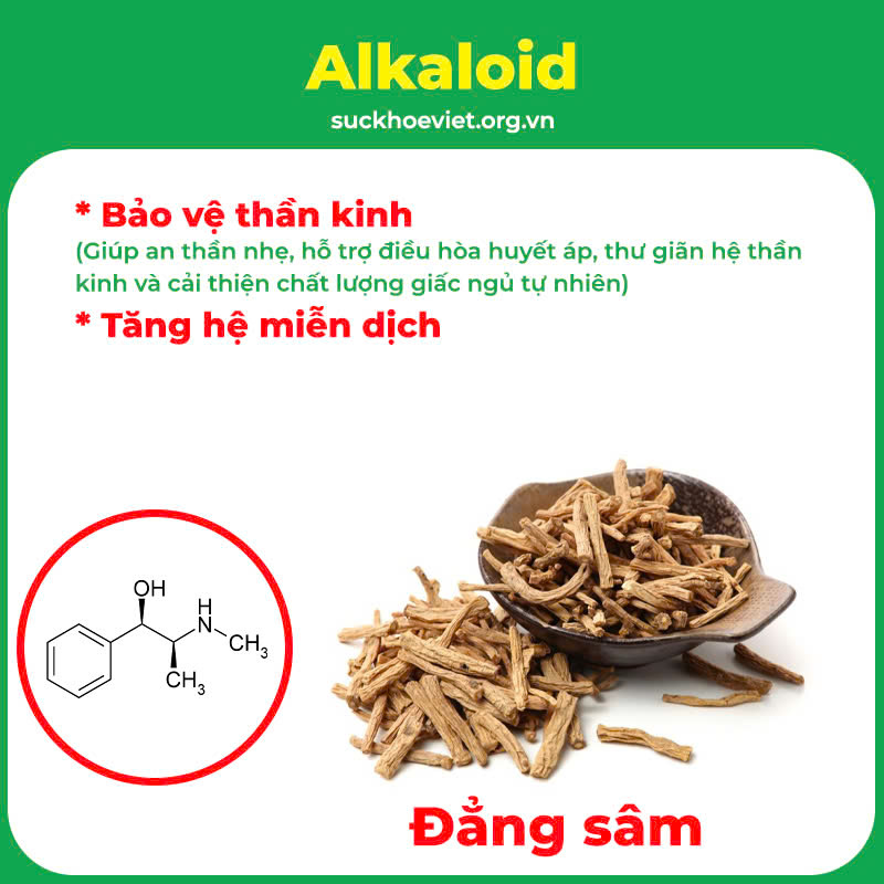Thành phần hoá học An thần bổ tâm